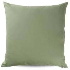 Canvas & Sasson -Aurora Floor Cushion Sage