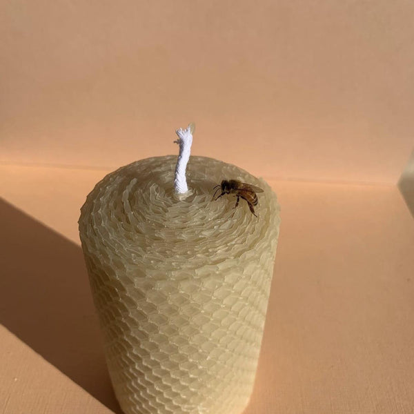 Bees Wax Pillar 25 Hr Burn 10cm x 5cm