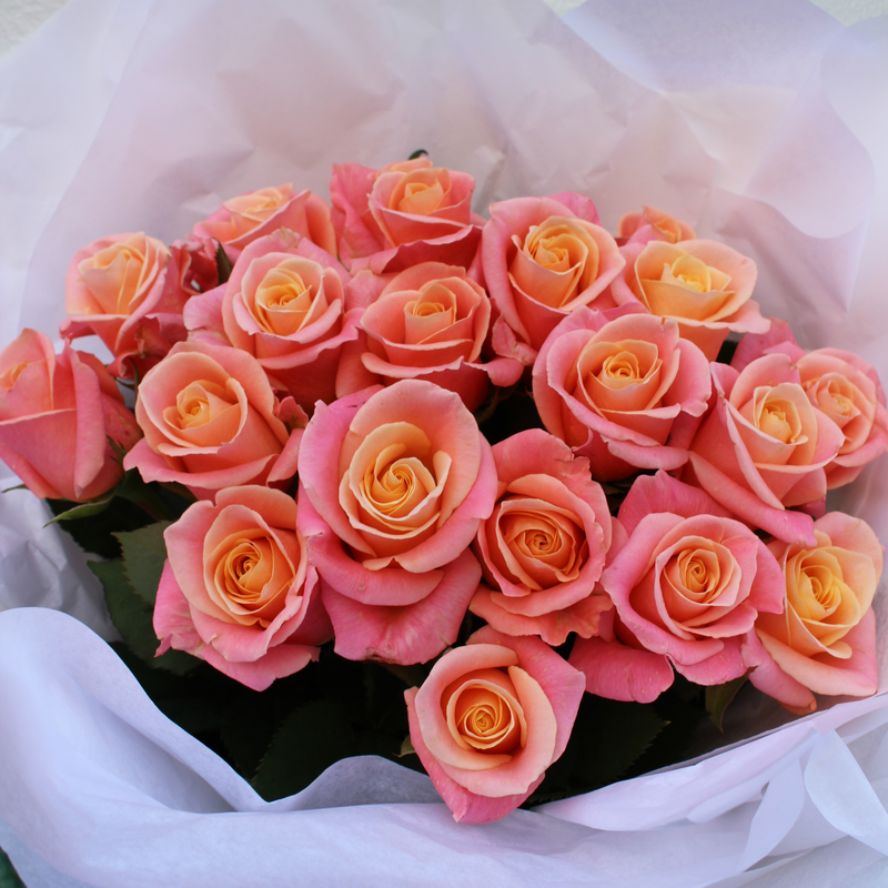 Roses En Masse
