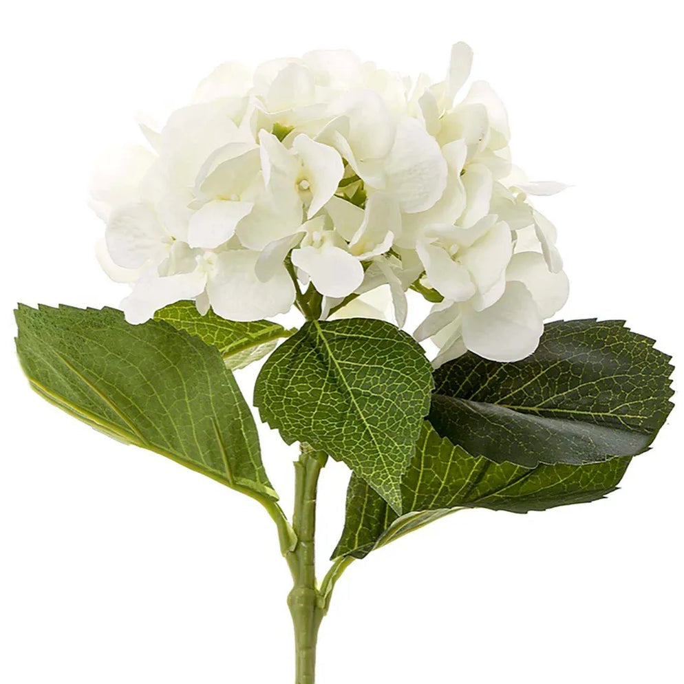 FLOR: Hydrangea Water White 49cm