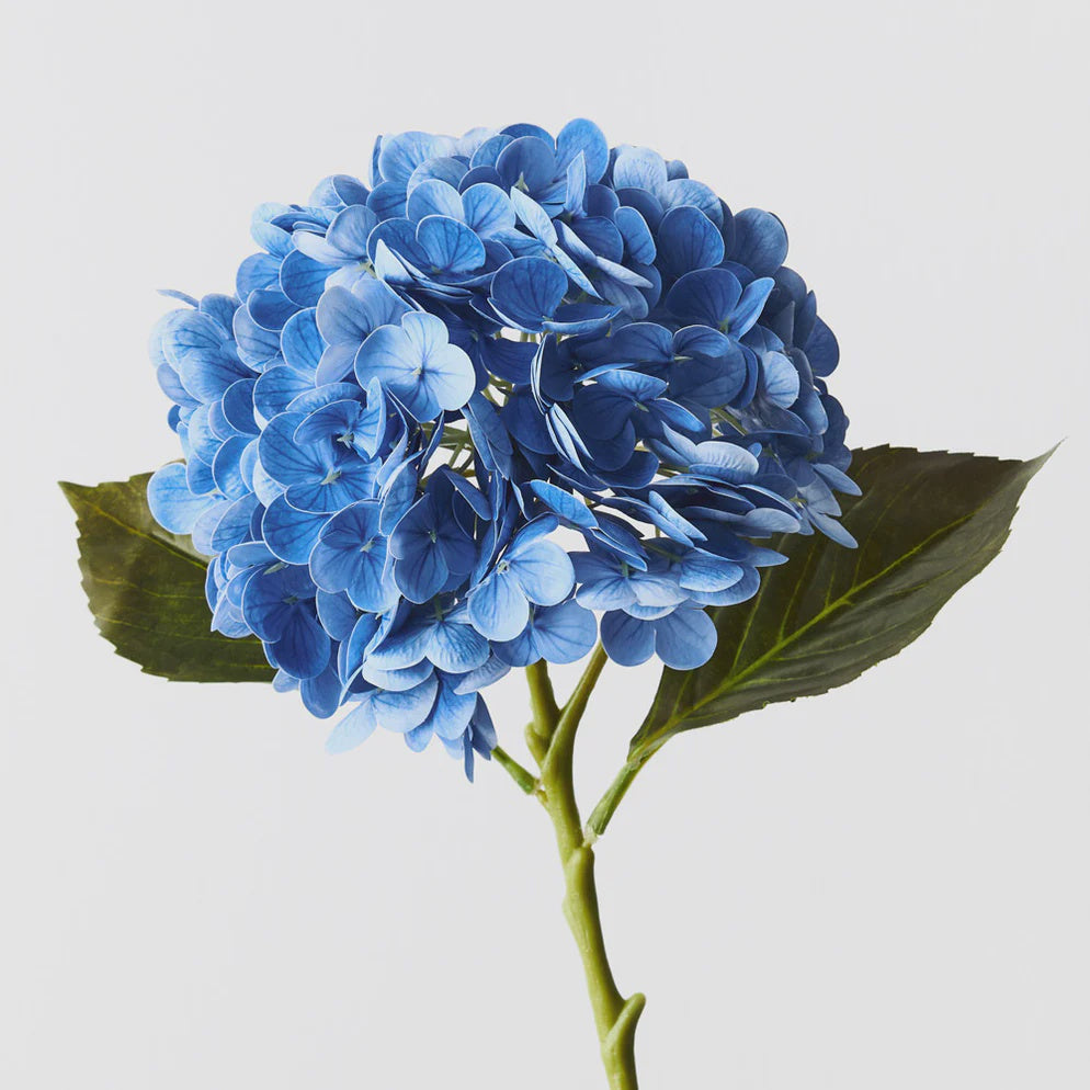 FLOR:  Hydrangea Blue 49cm